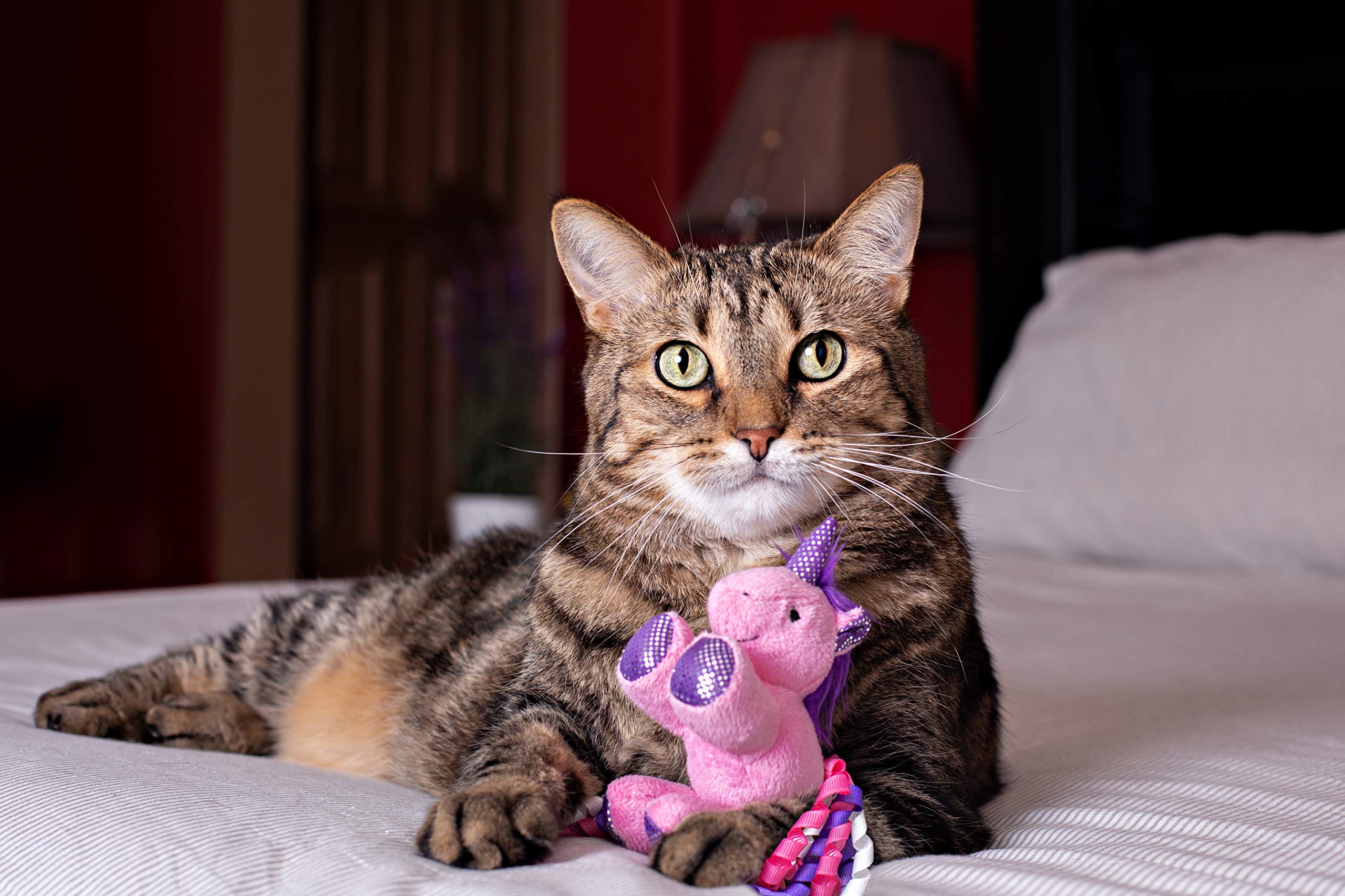 Multipet 20642 Unicorn Cat Toy - Quantity 33